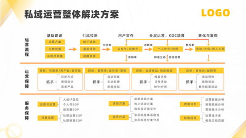 軟件運(yùn)營服務(wù)公司產(chǎn)品介紹PPT模板
